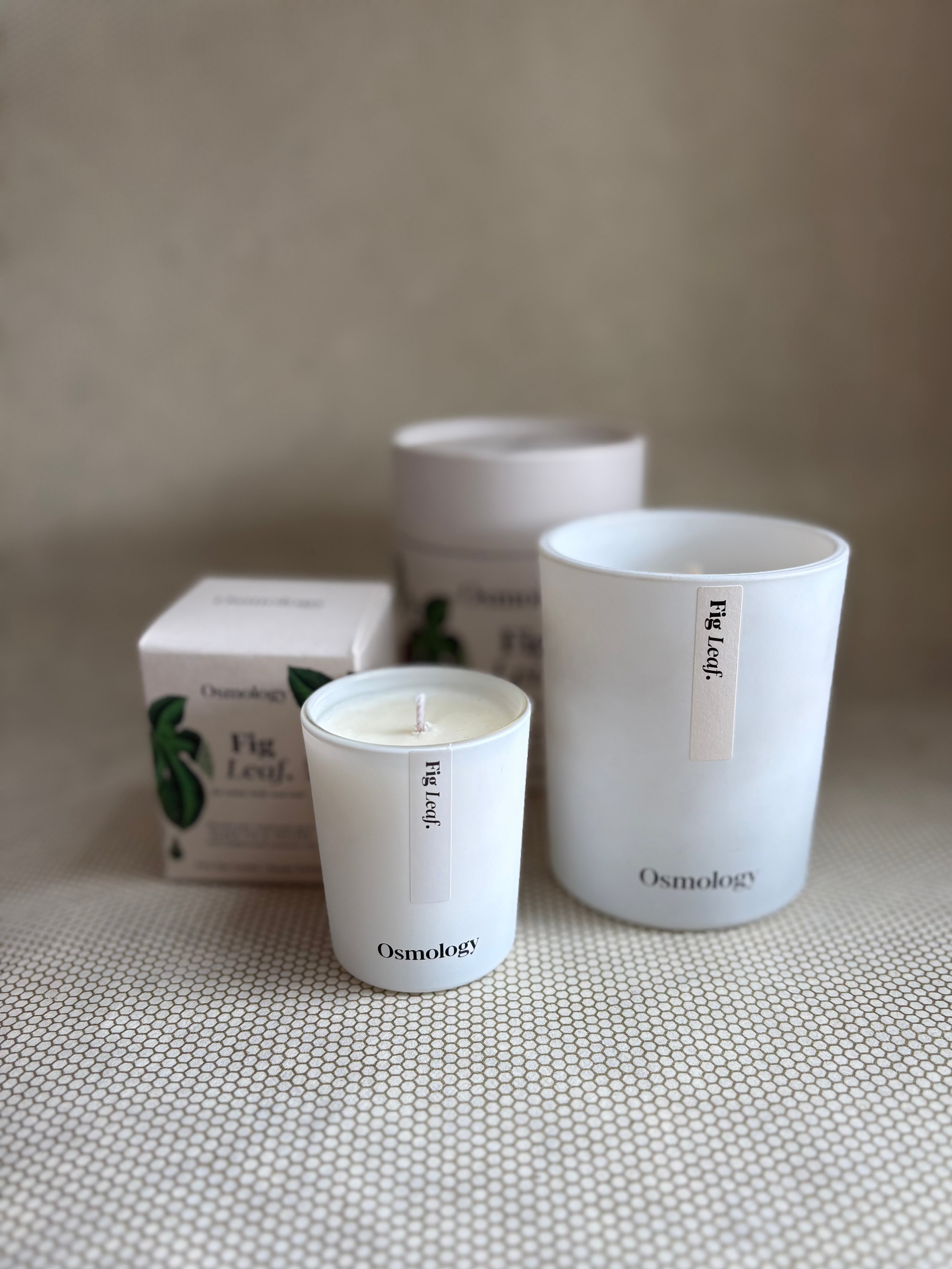 Osmology Fig Leaf Votive Candle