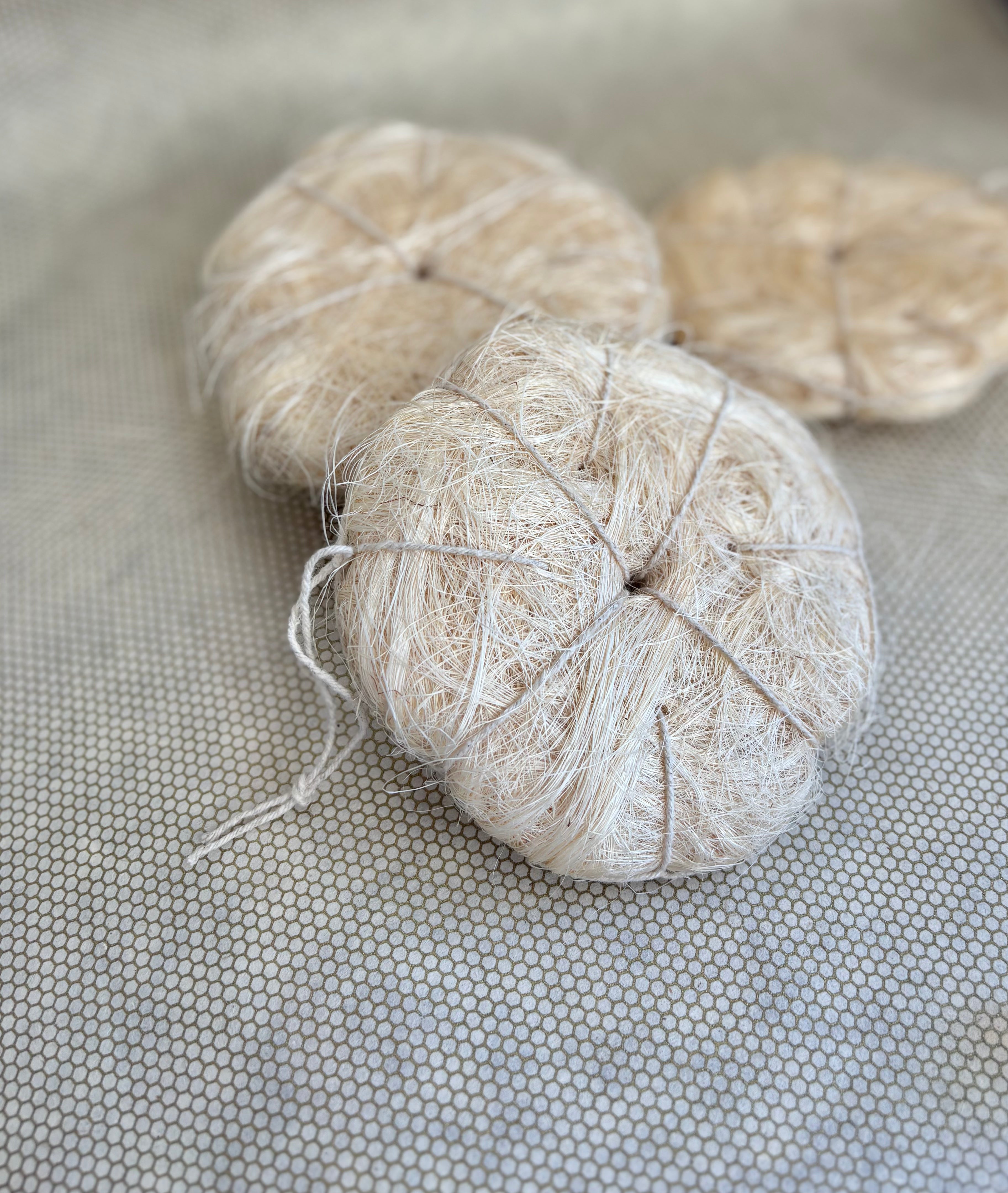 three natural loofahs with string wrap and hanger string on natural background. 