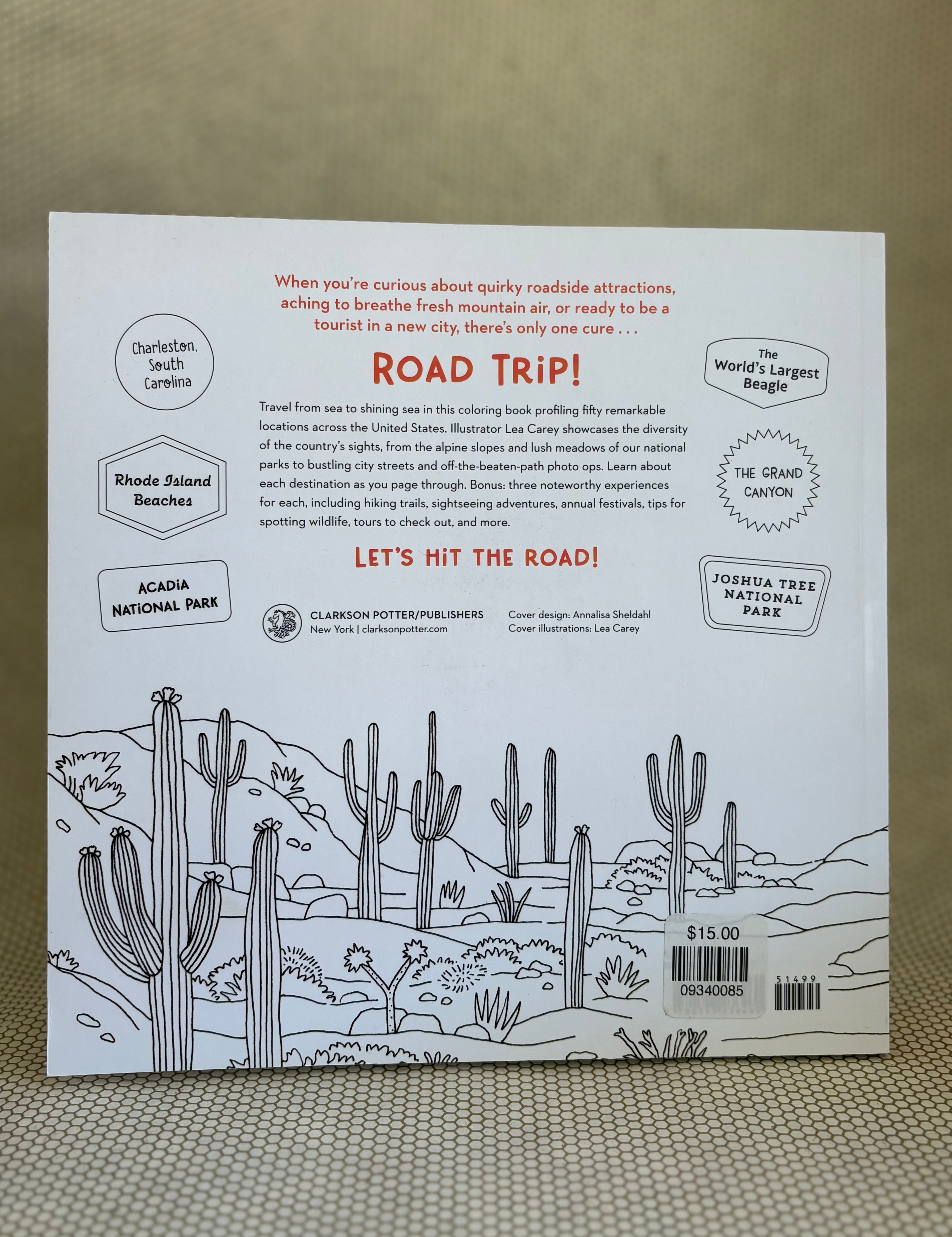 back of book with desert landscape illustration and text on a beige background