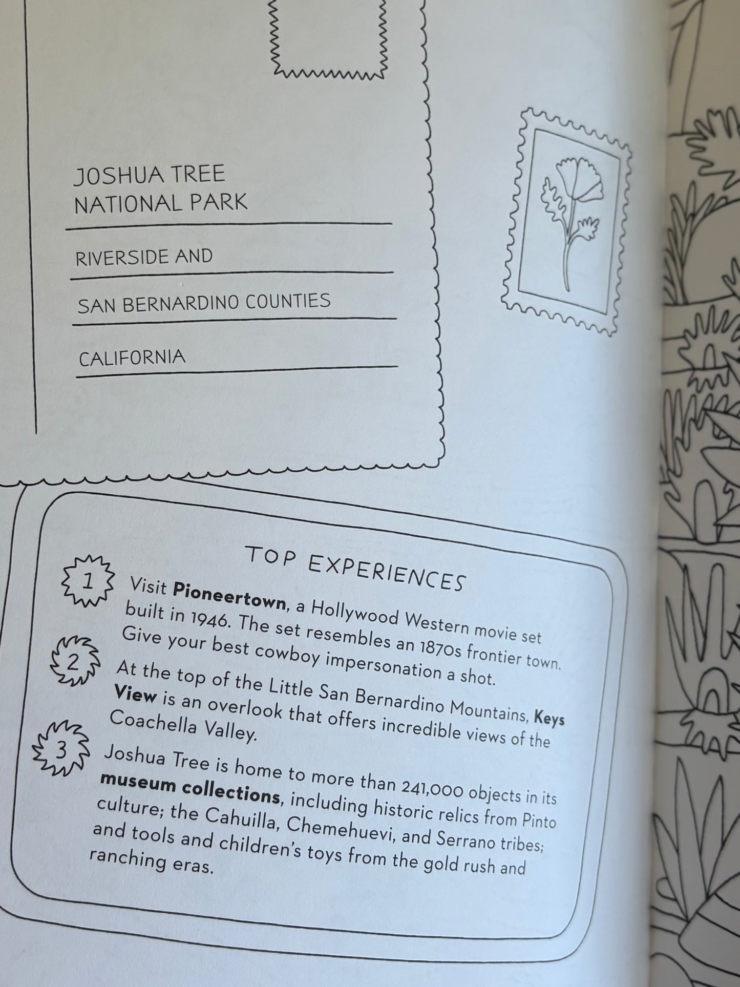 Road Trip! coloring book- Lea Carey