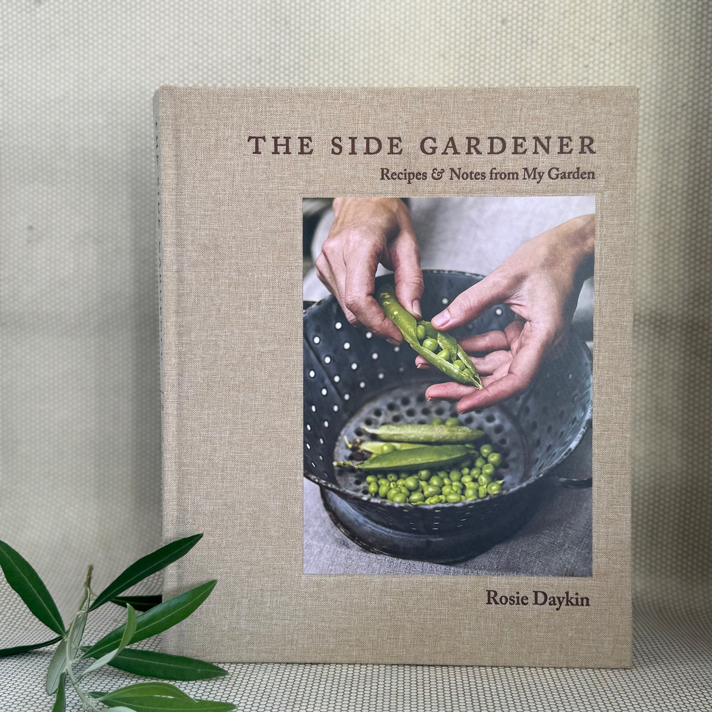 Book titled 'The Side Gardener' by Rosie Daykin on a textured surface with a plant in the corner. 