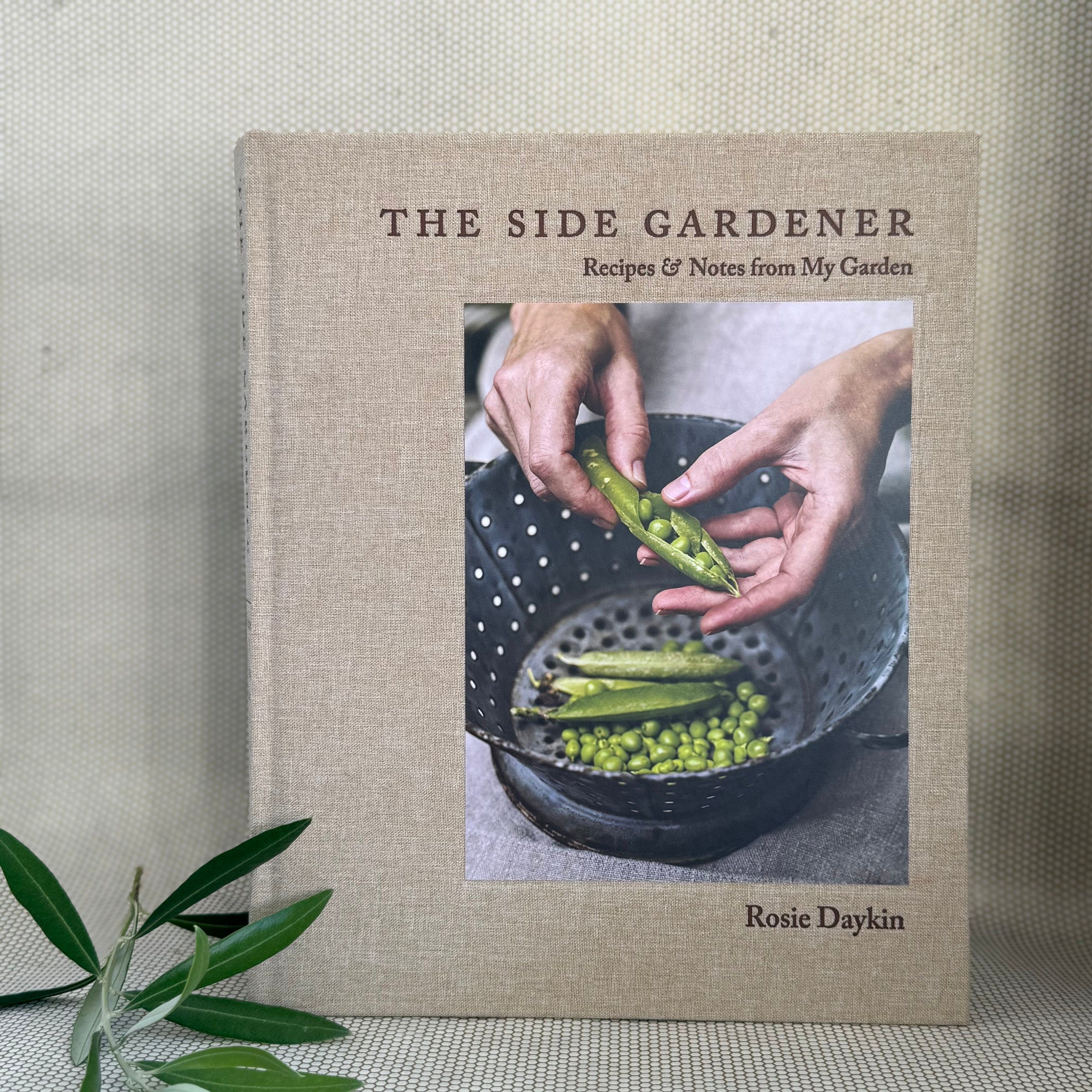Book titled 'The Side Gardener' by Rosie Daykin on a textured surface with a plant in the corner. 