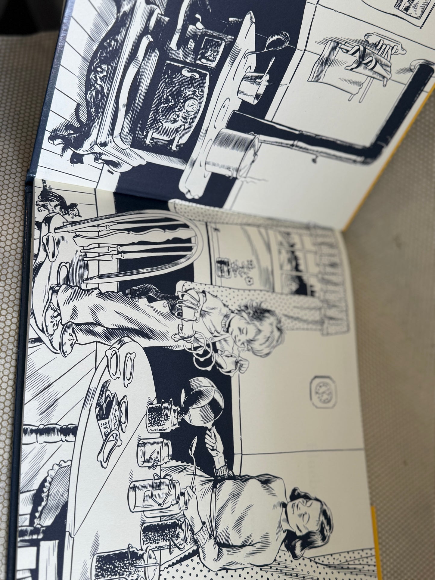 Illustrated pages of a book with black and white drawings on a textured surface.