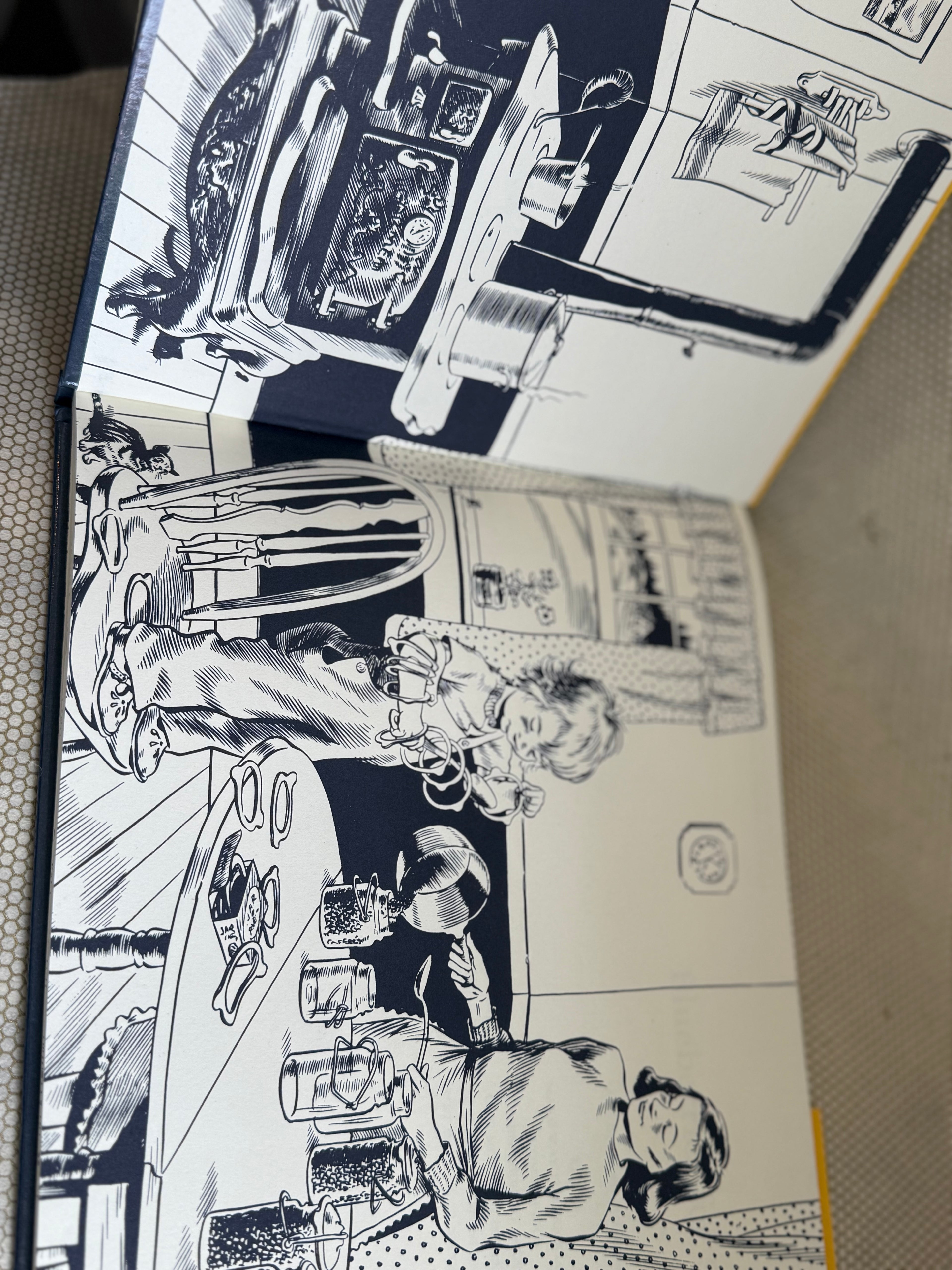 Illustrated pages of a book with black and white drawings on a textured surface.