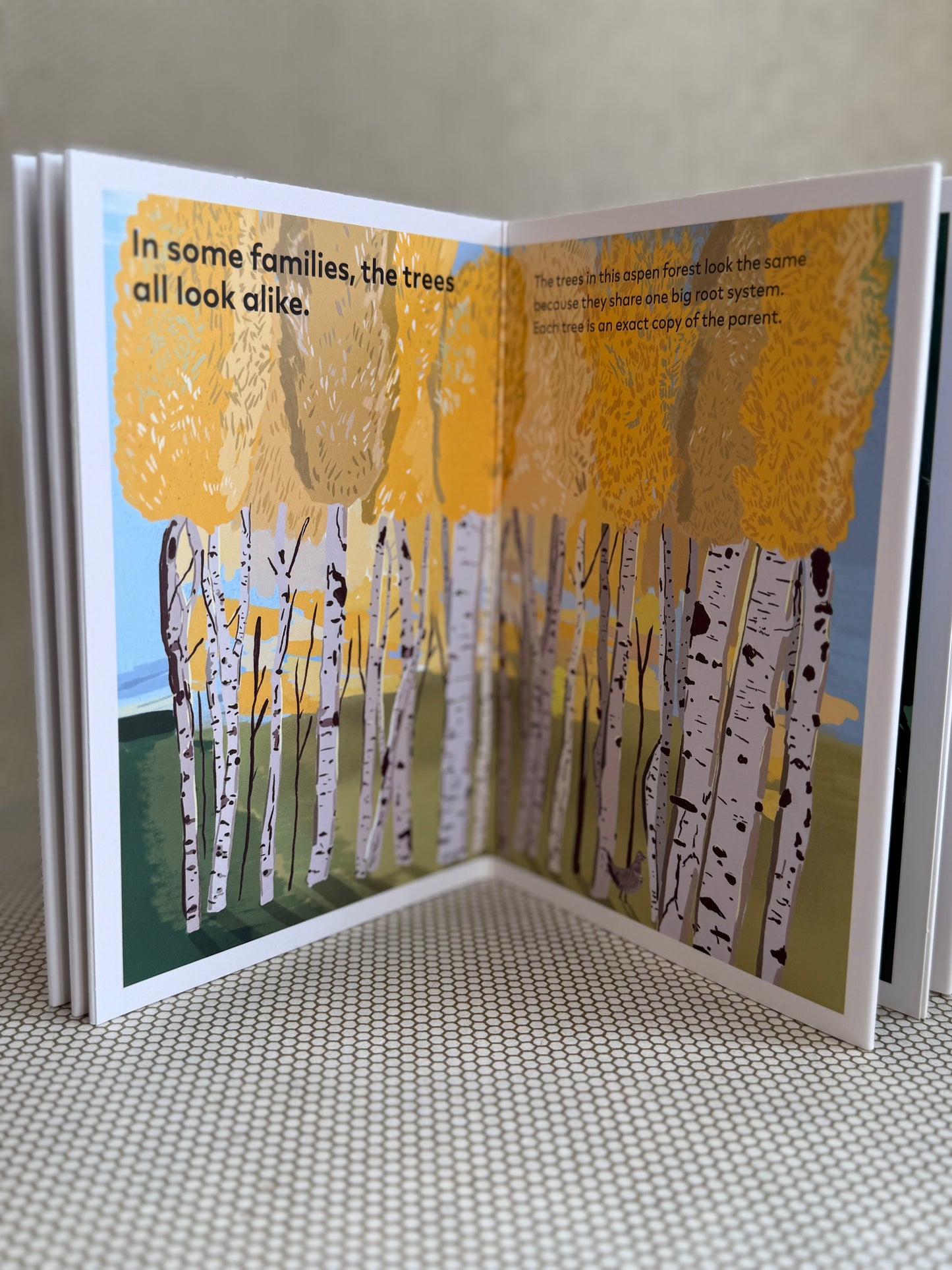 A Family of Trees- My First Book of Forests by Peggy Thomas and Cookie Moon