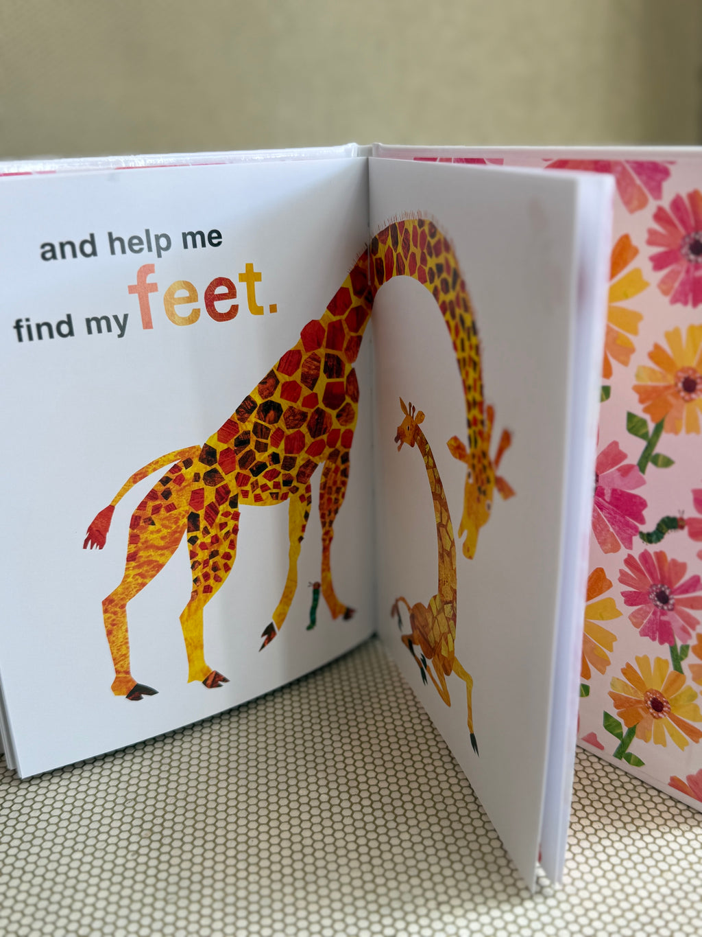 Open book with illustrations of giraffes and text on a floral background