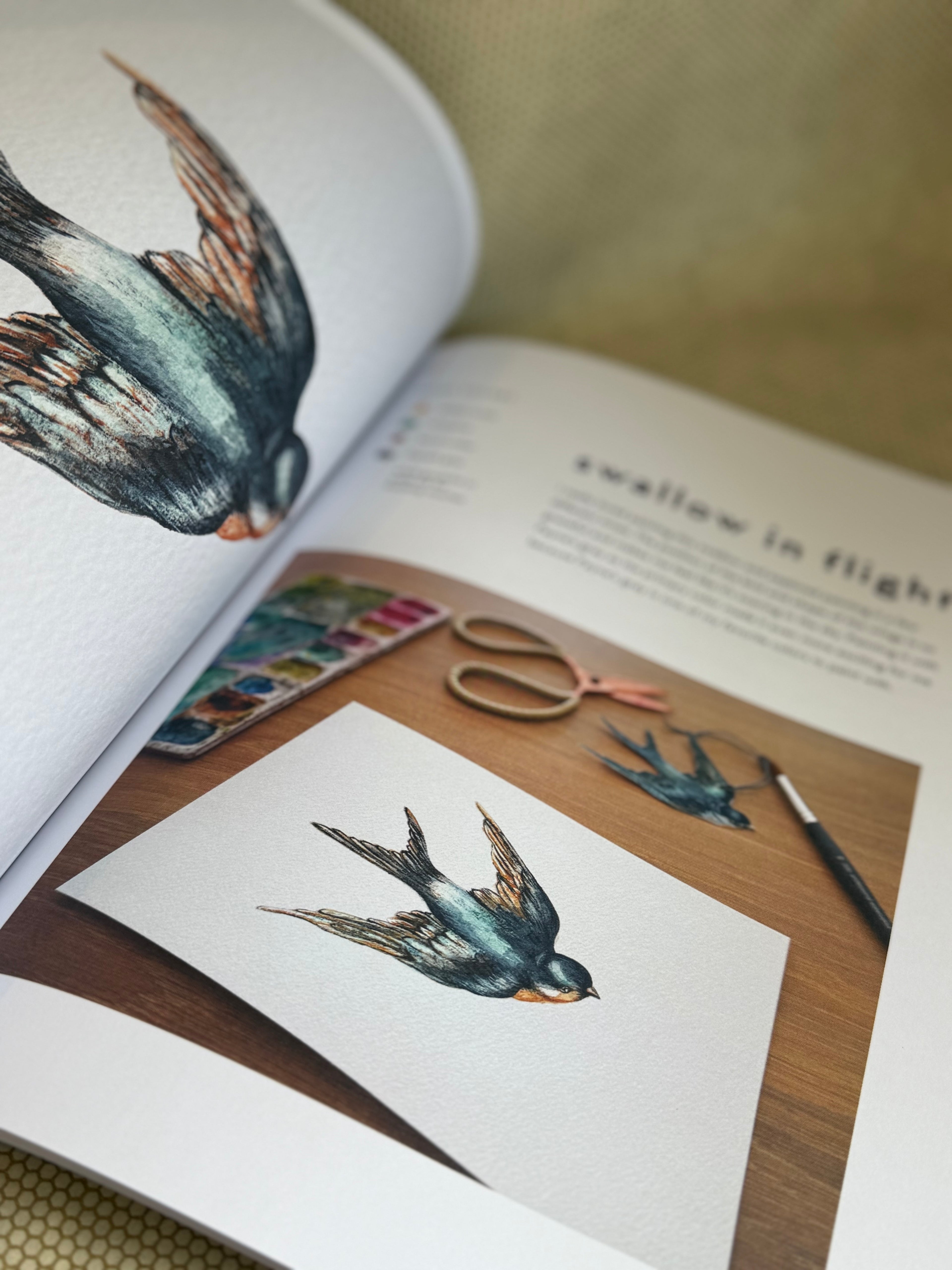 Open book with illustrations of birds on a wooden surface