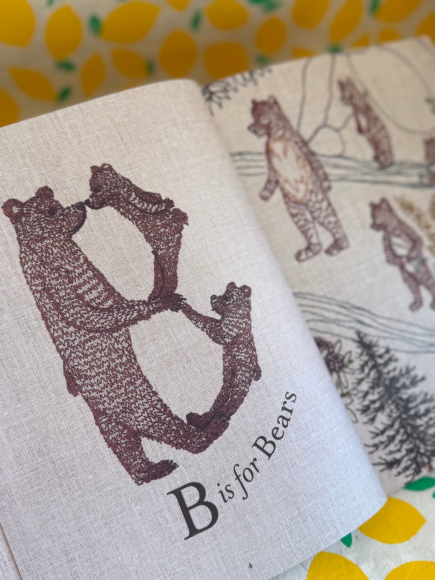 ABC: An Animal Alphabet Adventure by Stephanie Housley